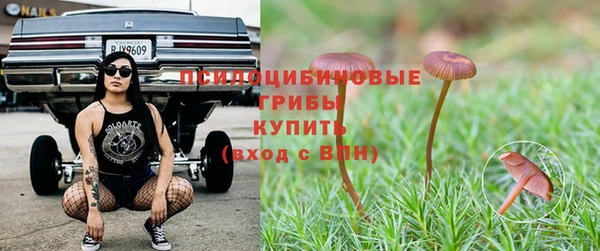 кокс Кодинск