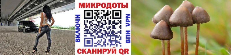 Псилоцибиновые грибы прущие грибы  Купить  Железногорск-Илимский 